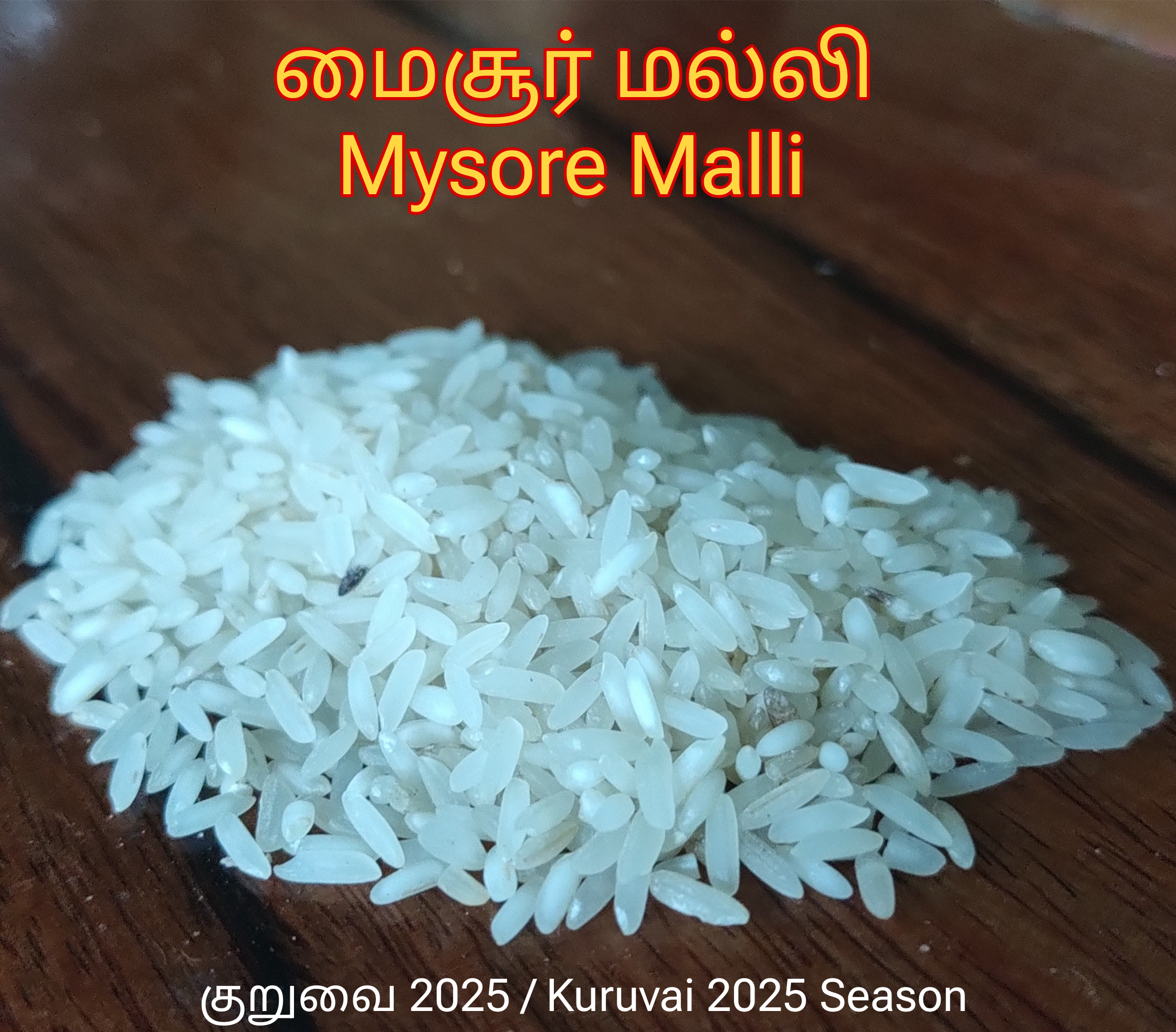 https://wa.me/916380534814